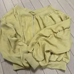 Item thumbnail for item 8039924c-1182-4b33-8166-5b69bed18ddb