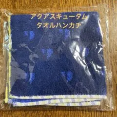タオルハンカチ ハンカチ