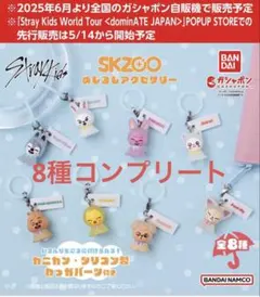 Stray Kids スキズ SKZOO めじるしアクセサリー コンプリート