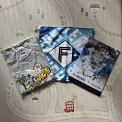 レイエス 応援グッズ