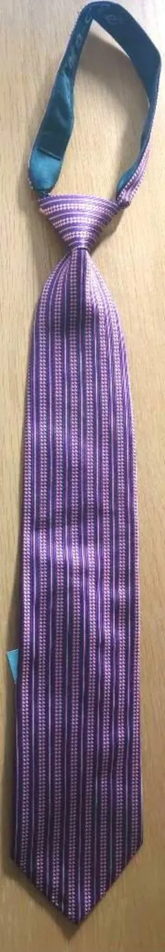 Item thumbnail for item c1f36df6-0bfd-43d9-ba4d-618cb5e91bd7