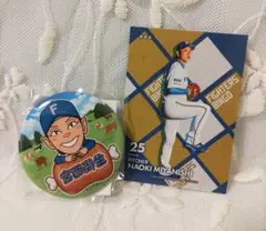 北海道日本ハムファイターズ エスコン限定ガチャガチャ 缶バッチ＆ビンゴカード