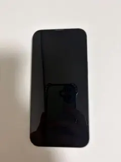 Apple iPhone 13 ミッドナイト