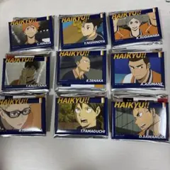 ハイキュー トレーディングスクエア缶バッジ