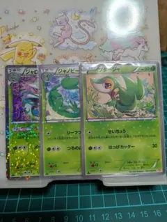 ポケモンカード ツタージャ進化ライン3枚
