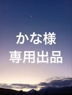 かな様専用