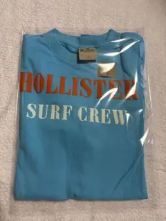 2026年最新】HOLLISTER カラー：ブルー系 メンズ Tシャツの人気