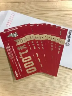 鹿児島レブナイズ　グッズクーポン　10枚