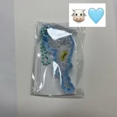 琵琶湖キーホルダー(水色・Beef)