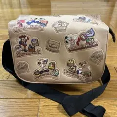 ディズニー　カメラバッグ　TDR35周年 ショルダーバッグ