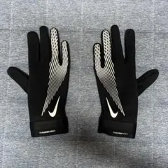 Item thumbnail for item 7dd7ad93-1f8d-44bc-8469-e98682d4df7a