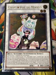 遊戯王　EUフランス語版　カプシーヤミーウェイ　レリーフ　アルティメット　傷有り