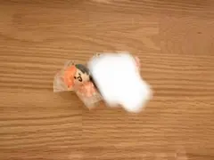 あゆさん　専用サイト
