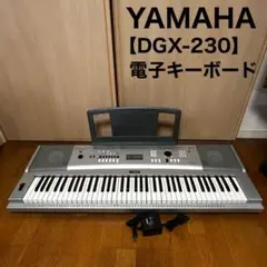 2025年最新】yamaha dgxの人気アイテム - メルカリ