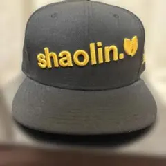 APPLEBUM Wu Tang Clan Shaolin new eraのサムネイル