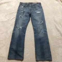 AG Protege 29 USA製 ダメージデニムのサムネイル