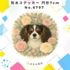 Item thumbnail for item aa65ff9f-cf99-40e6-8e03-b5b722036467