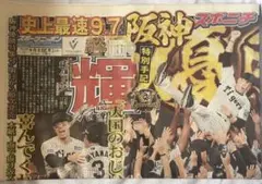 阪神タイガース 2025年 優勝記念／スポニチ（スポーツニッポン）