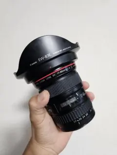 Item thumbnail for item b20bd6f8-1f37-4c24-a1e2-9bdde91d910c