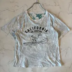 Item thumbnail for item e74c6b06-6b16-47c9-bcda-af524dfeb4e9