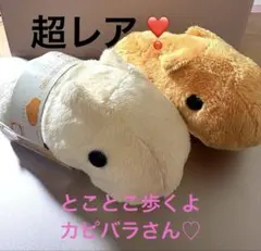 動く！ カピバラさん　とことこあるくよぬいぐるみ ＆ しとしと雨の日　２種 レア 動く！ カピバラさん とことこあるくよぬいぐるみ ＆ しとしと雨の日