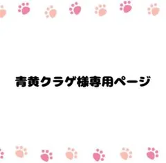 青黄クラゲ様 リクエスト 2点 まとめ商品