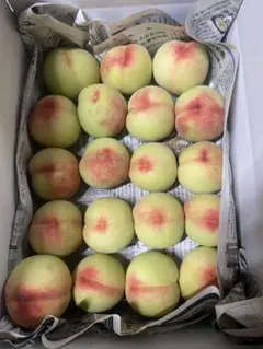 摘果桃 3.5kg （1kg4〜6玉） SALE - メルカリ