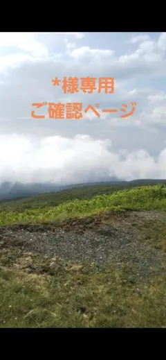 呪術廻戦　*様専用ご確認ページ