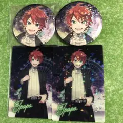 カラフルピーチ　じゃぱぱ　東武動物公園缶バッジトレカセット