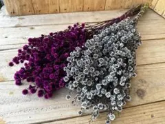 よっかんようかん様 リクエスト 3点 まとめ商品