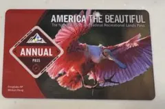 ※MT※ アメリカ国立公園パス　& カードフォルダー MT様専用※ アメリカ国立公園パス & カードフォルダー