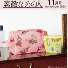 素敵なあの人 2026年11月号付録 MOOMIN ムーミン メッシュポーチ