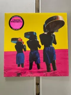 Common – A Beautiful Revolution Pt 2