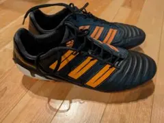 アディパワープレデタージャパン