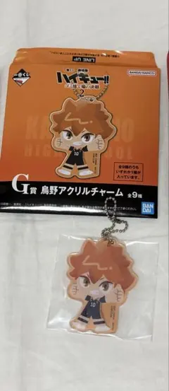 一番くじ　ハイキュー　ゴミ捨て場の決戦2 G賞 日向翔陽