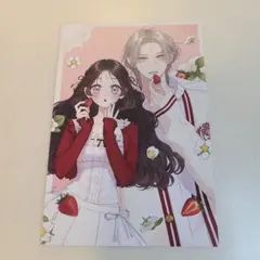 みょい様 リクエスト 2点 まとめ商品