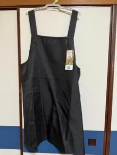 Item thumbnail for item 6185ab7f-7010-4e7c-9f66-3b18e37a96bb