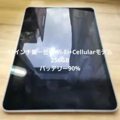 iPad pro11インチ本体（1世代）256GB
