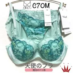 ＊C70M トリンプ 天使のブラ 魔法のハリ感 ブラ＆ショーツ Greenのサムネイル