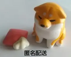 しばぐらし2 いたずらがバレて気まずい柴犬