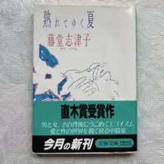 熟れてゆく夏 藤堂志津子
