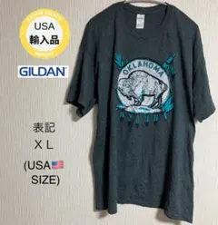 Item thumbnail for item 017163b4-f695-4b8e-b1ad-9aa7175c1f92