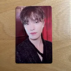 SEVENTEEN ディノ 2023シーグリ トレカ