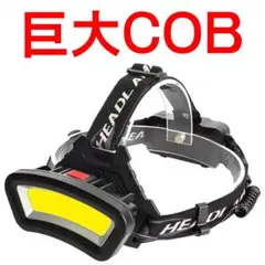 Item thumbnail for item 4e583205-56c4-43a3-a458-9f6da7519b43