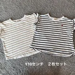 プティマイン　半袖　110センチ　２枚セット