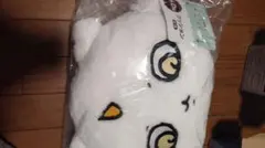 エニマイくじ　D賞