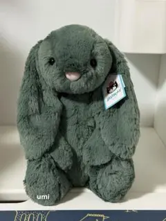 コンのお家様専用 廃盤品 ジェリーキャット Forest Bunny