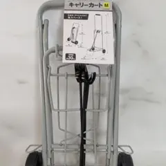 Item thumbnail for item 423e22f8-87ae-4247-916d-3dd5bbf14f8e