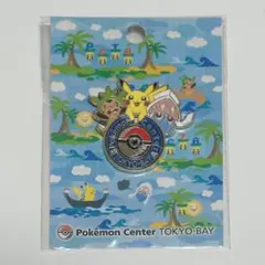 ポケモンセンター トウキョーベイ ロゴピンズ ピンバッジ 2013