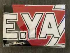 矢沢永吉　SBT 完売品　ロゴ　スター　赤白 スペシャルビーチタオル Yazawa 矢沢永吉 スペシャルビーチタオル